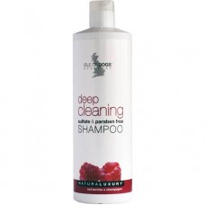 Шампунь Deep Cleaning 100мл