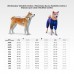 ВІТРОВКА ДЛЯ СОБАК WAUDOG CLOTHES СВІТЛОВІДБИВНА, XS22, В 30-34 СМ, С 19-21 СМ